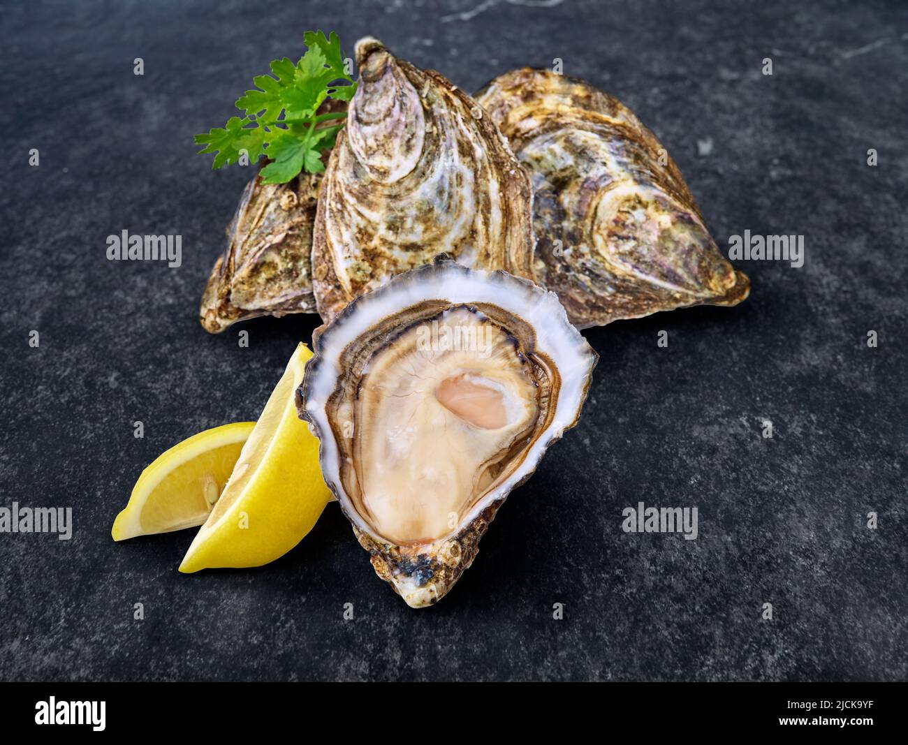 Open fresh raw oyster clams isolated and ready to eat Stock Photo Alamy