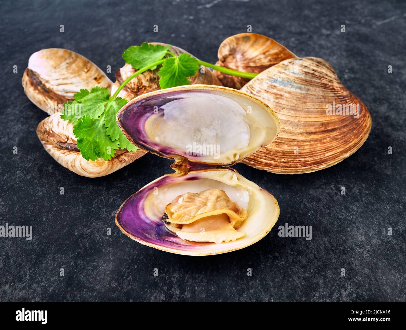 open en closed clams with shellfish isolated on black background. Stock Photo