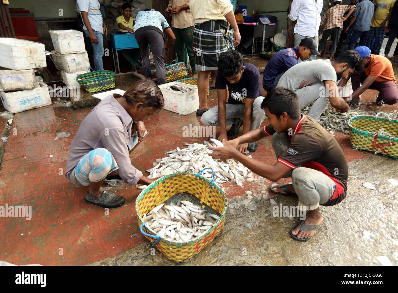 Buyers and sellers are seen at the wholesale fish market at Fishery