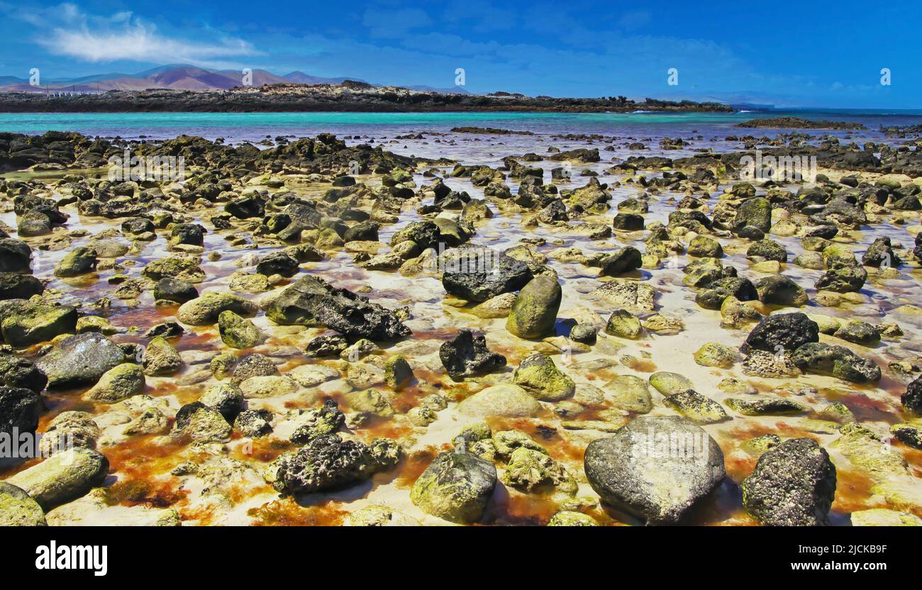 El Cotillo, North Fuerteventura: Many countless stones in water scattered in sand at rocky beach during ebb, turquoise sea lagoon background Stock Photo