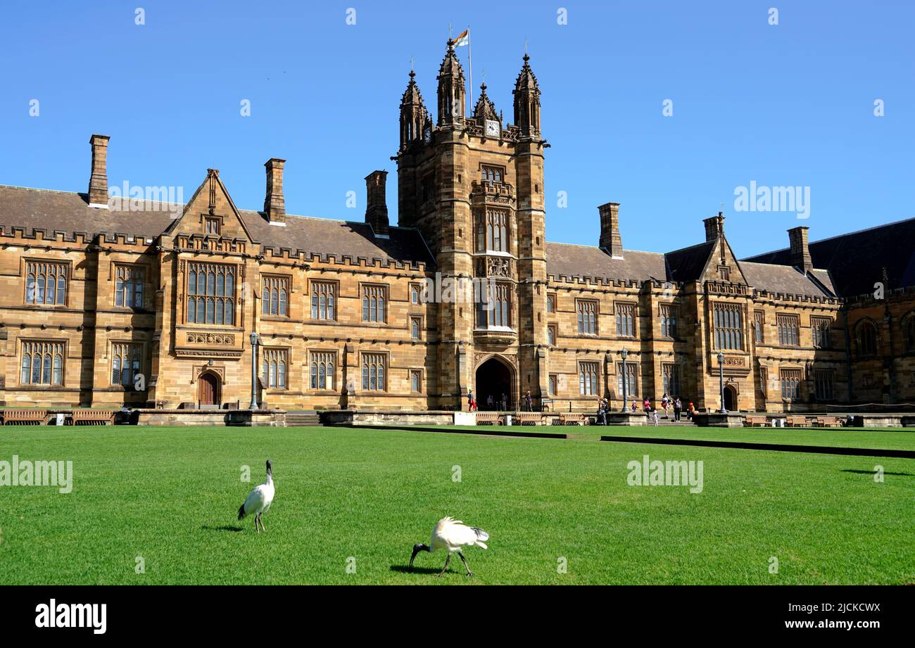 The University Of Sydney Stock Photo Alamy the-university-of-sydney-news-vol-25-no-6-university-of-sydney-archives