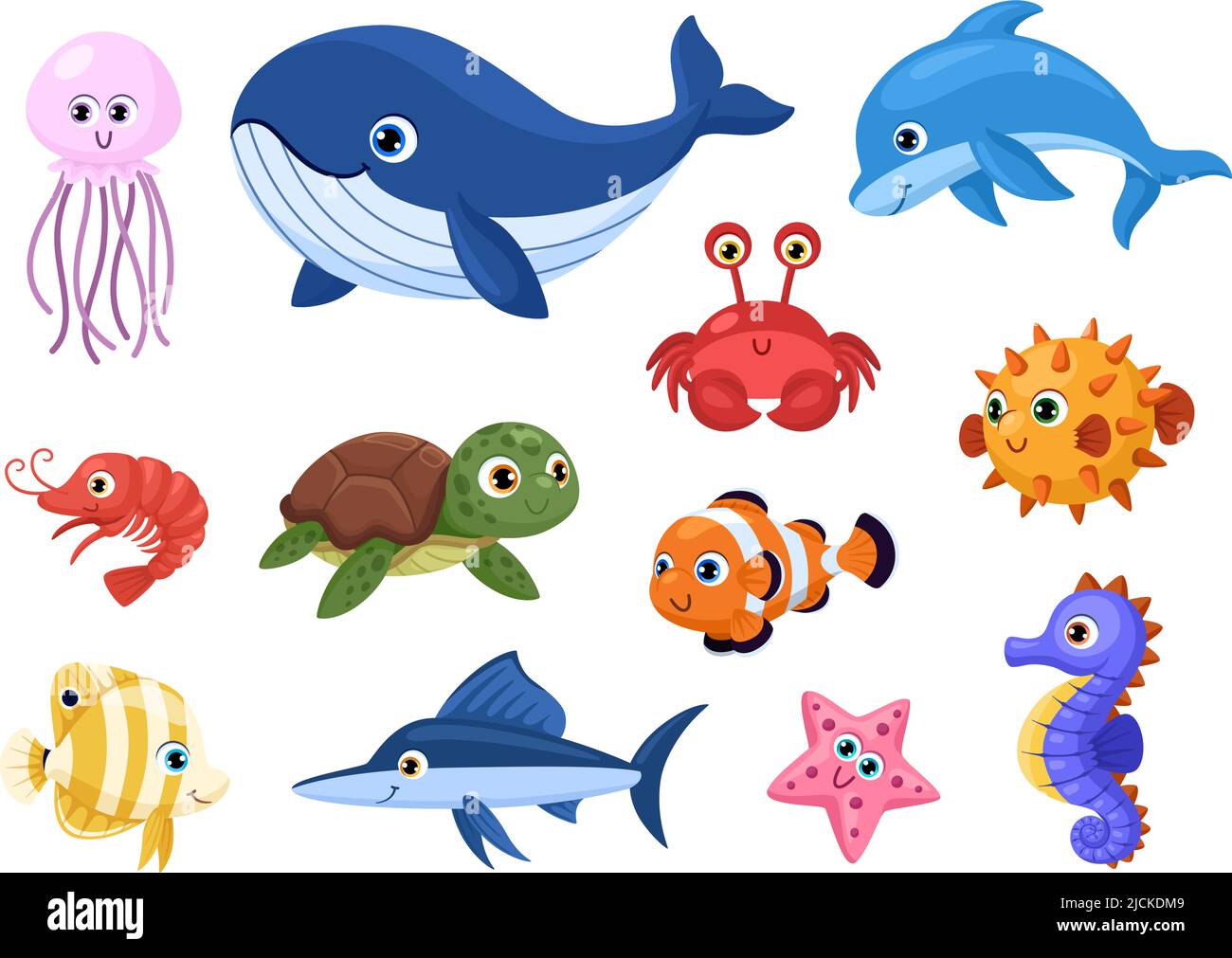 saltwater animals