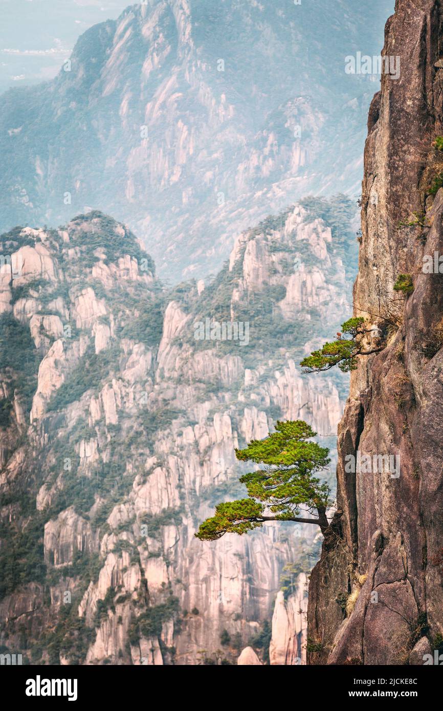 Shixin Beginning-to-Believe peak in Huangshan mountain, known as Yellow mountain, Anhui, China. Stock Photo