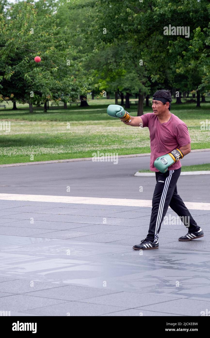 A boxer working out by punching a little red ball attached to his hat with  an elastic string. In Flushing Meadows Corona Park in Queens, New York Ci  Stock Photo - Alamy