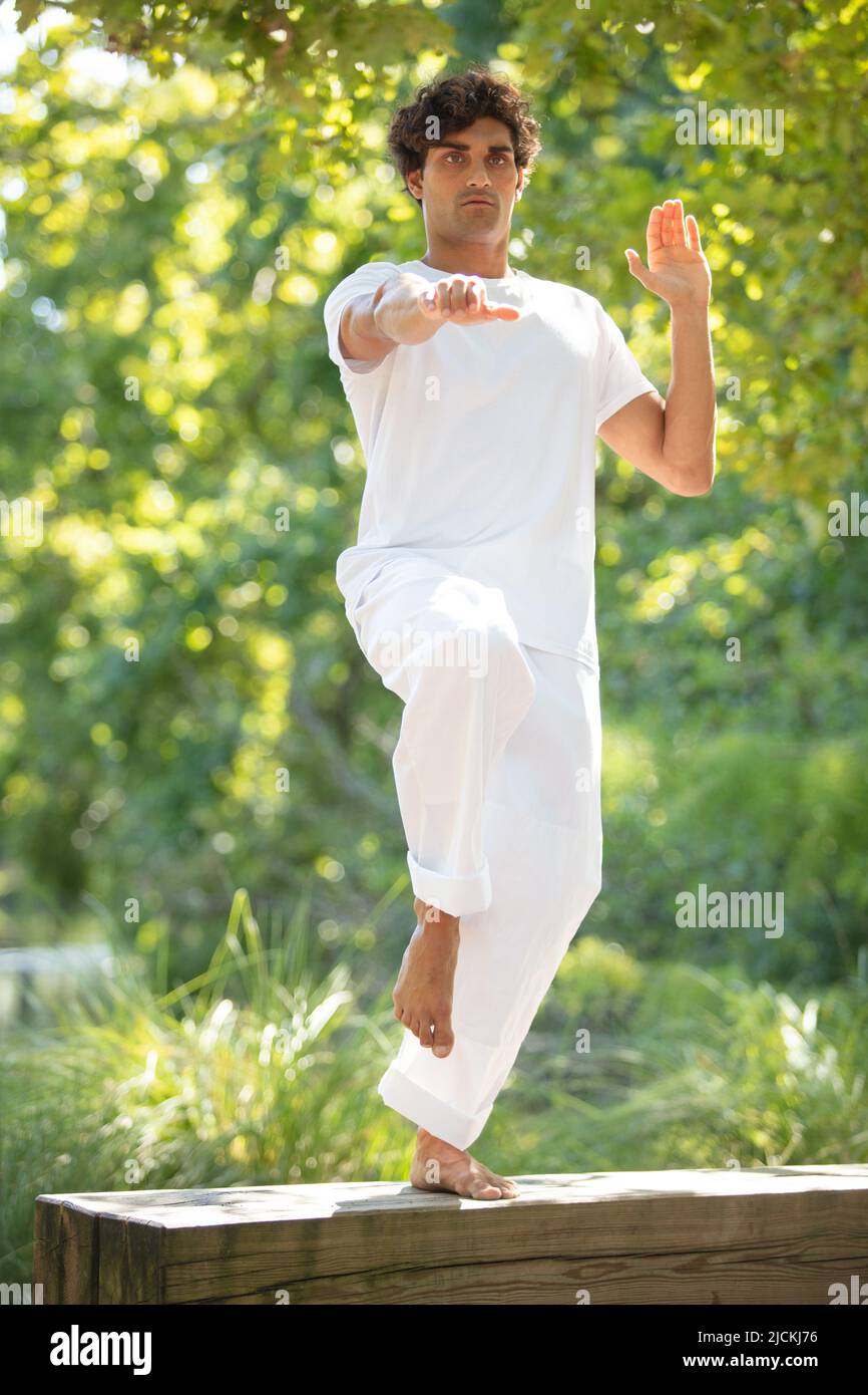 sport man practices traditional chinese martial arts tai chi Stock