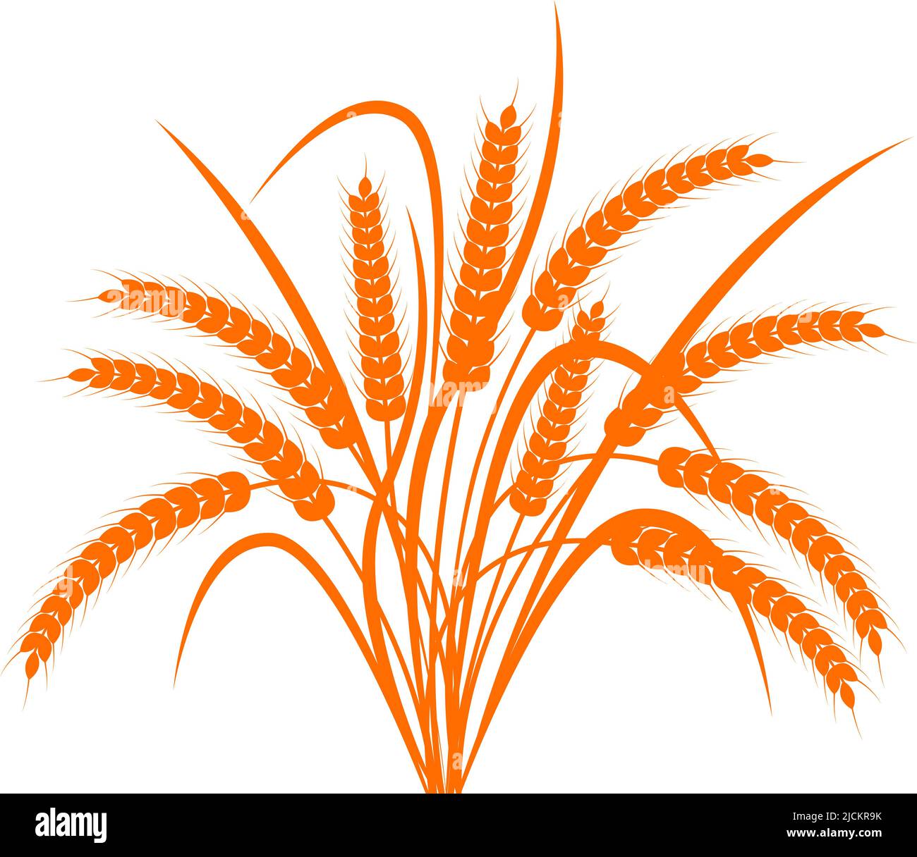 Bunch of ears of wheat on a transparent background. Single color vector illustration Stock Vector