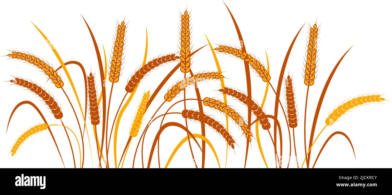Ears of wheat on a transparent background. Horizontal pattern. Two color vector illustration Stock Vector