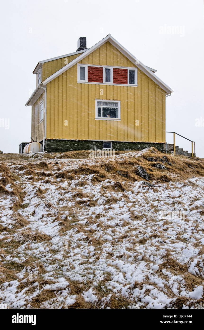 Flatey, Iceland, May 5, 2022: yellow house on a grassy hill during a blizzard Stock Photo