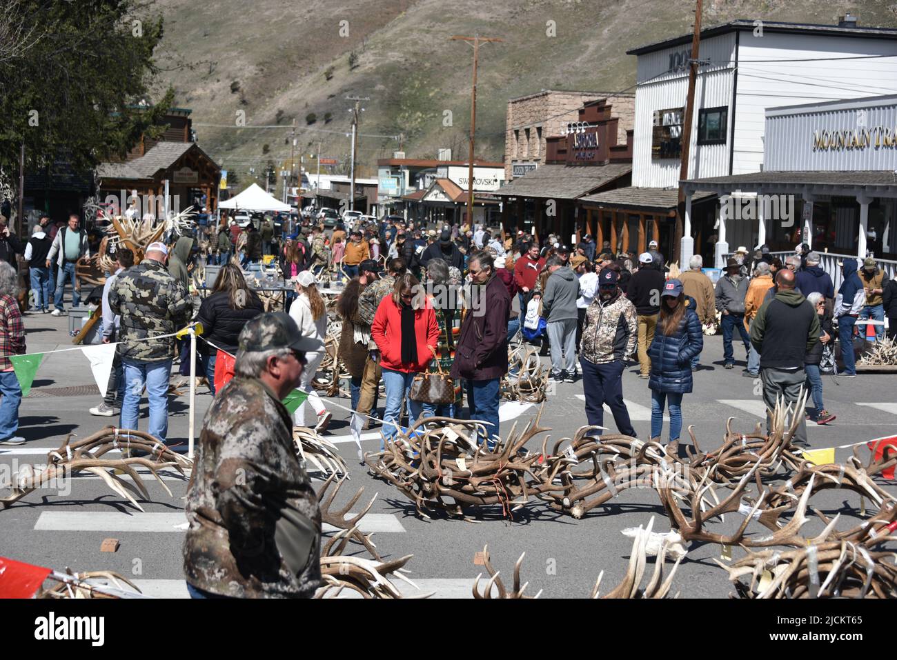 Jackson, WY. USA. 5/21/2022. Boy Scouts of America annual elk and moose