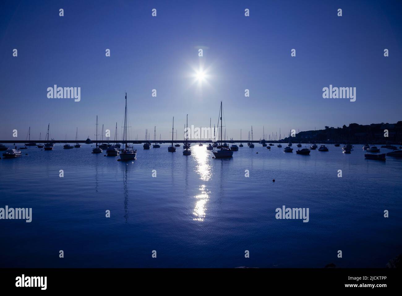 UK, England, Devon, Torbay, Brixham Harbour with moored Yachts at Dawn Stock Photo