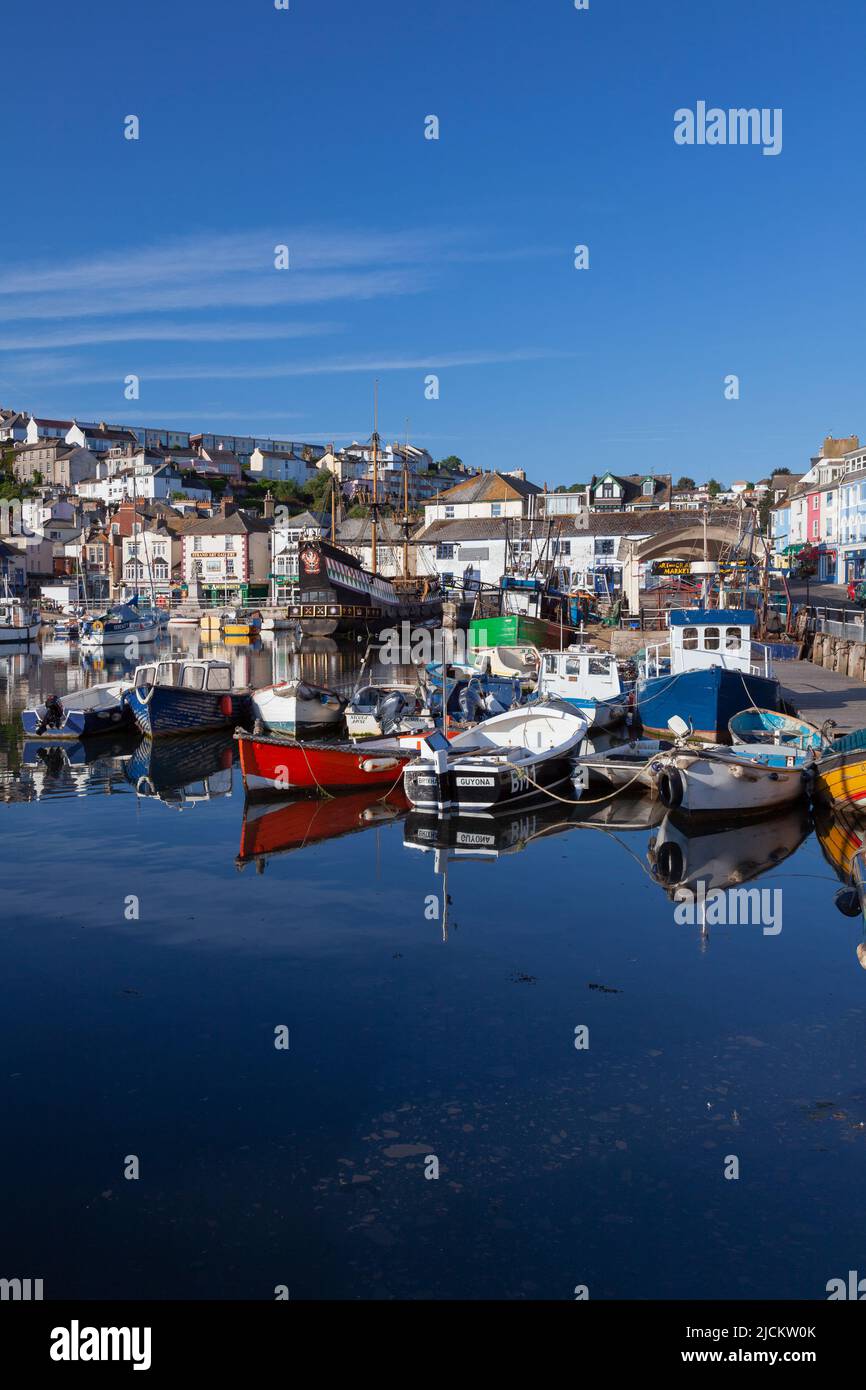 UK, England, Devon, Torbay, Brixham Harbour and The Strand with moored Yachts and The Golden Hind (museum ship) Stock Photo