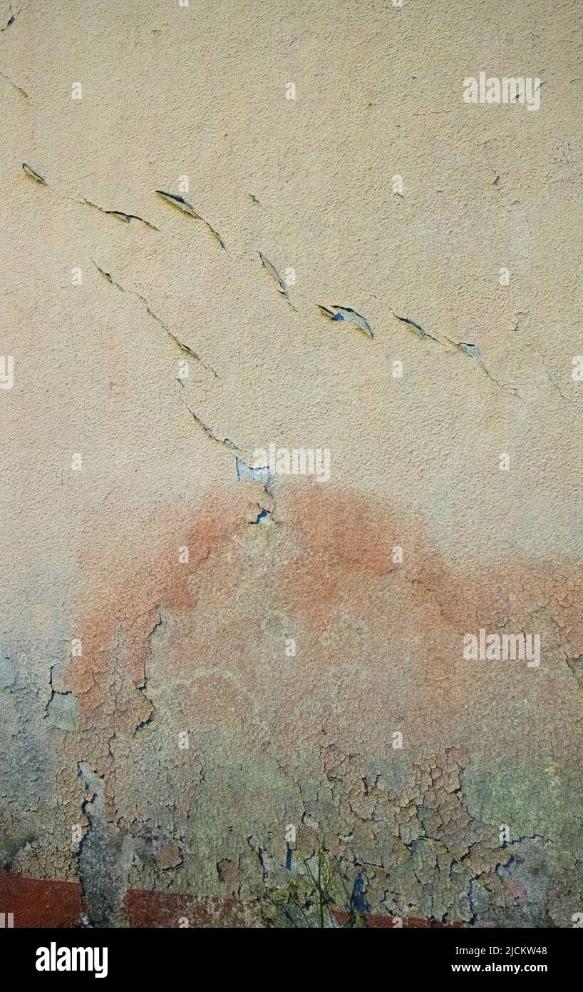 textured beige green and rust colored abstract design on exterior concrete wall   weather damage peeling paint and aging grungy vertical backdrop Stock Photo
