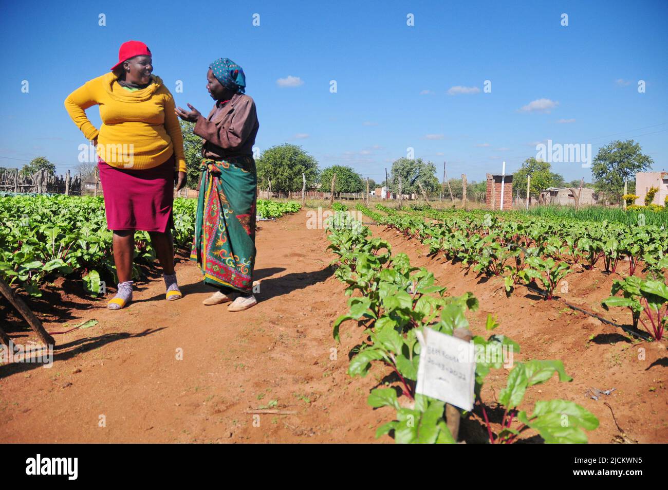 Crop rotation africa hi-res stock photography and images - Alamy