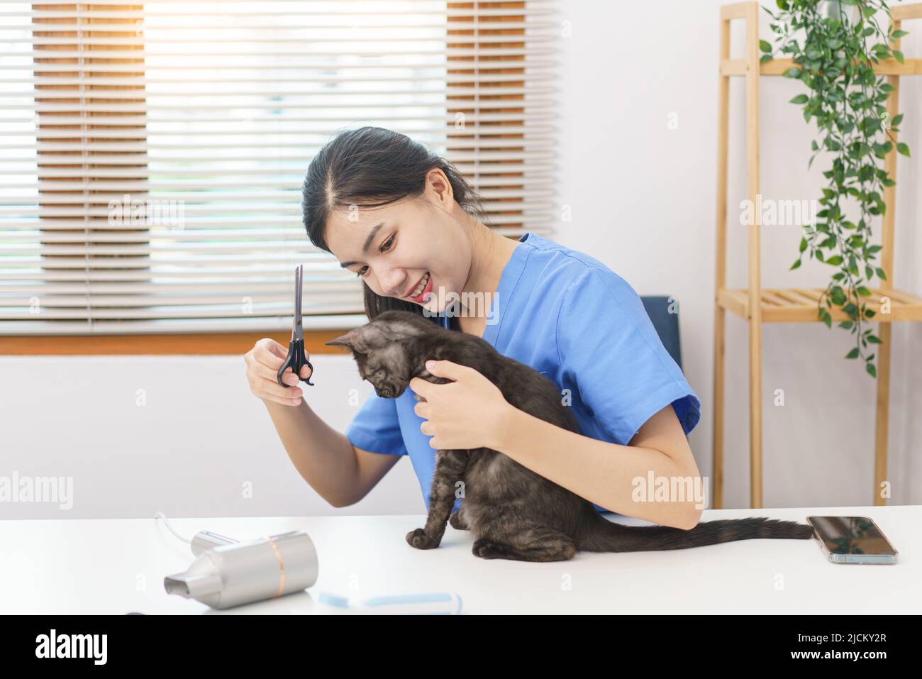 Pet salon concept, Female veterinarian using scissors to trim fur of