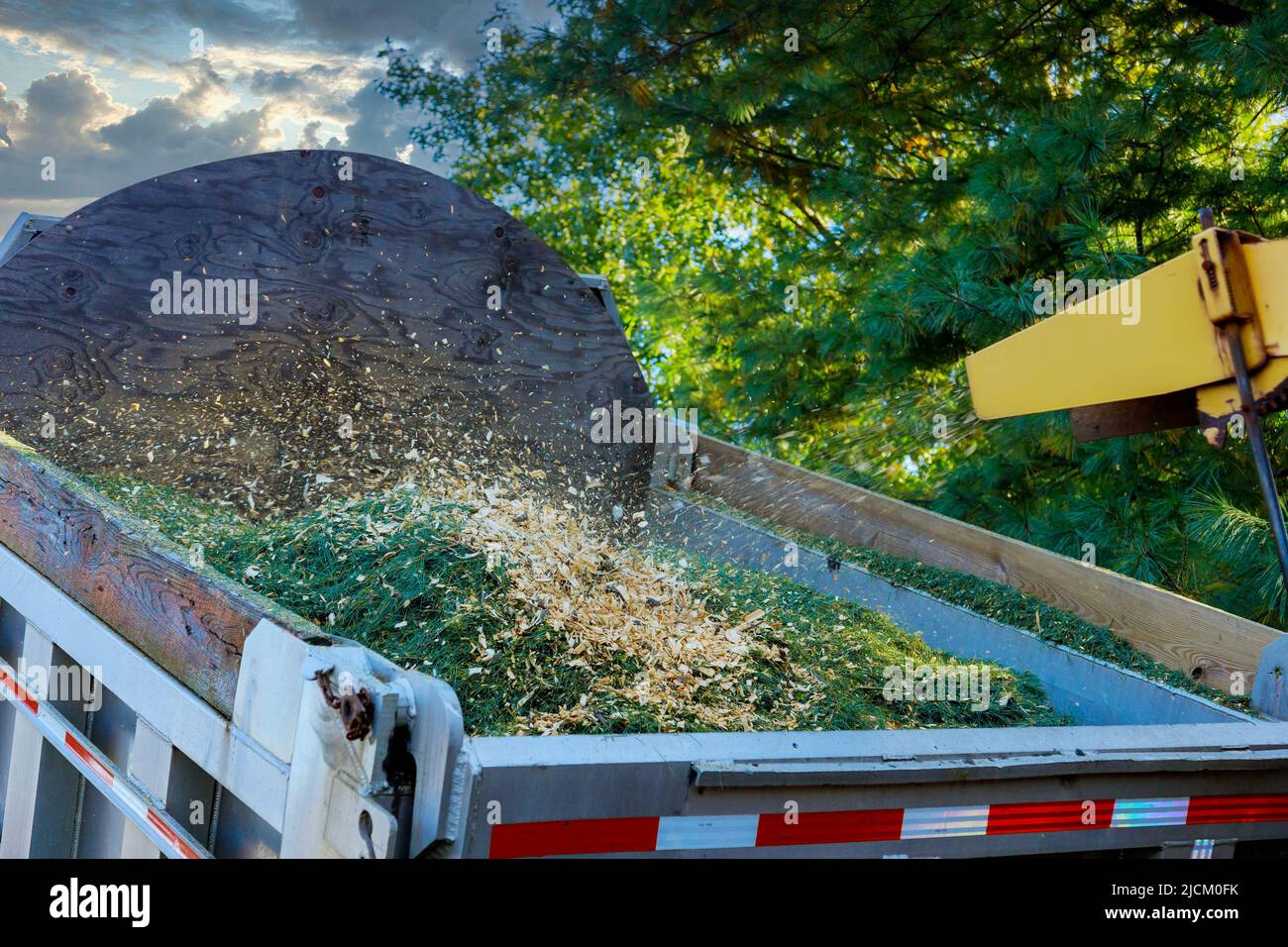 Tree removing service trucks chipper at work for tree branches Stock Photo