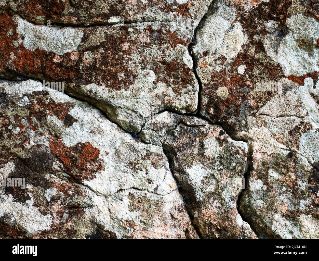 Cracked rock with lichen patterns by the River Ure near Aysgarth Yorkshire Dales North Yorkshire England Stock Photo