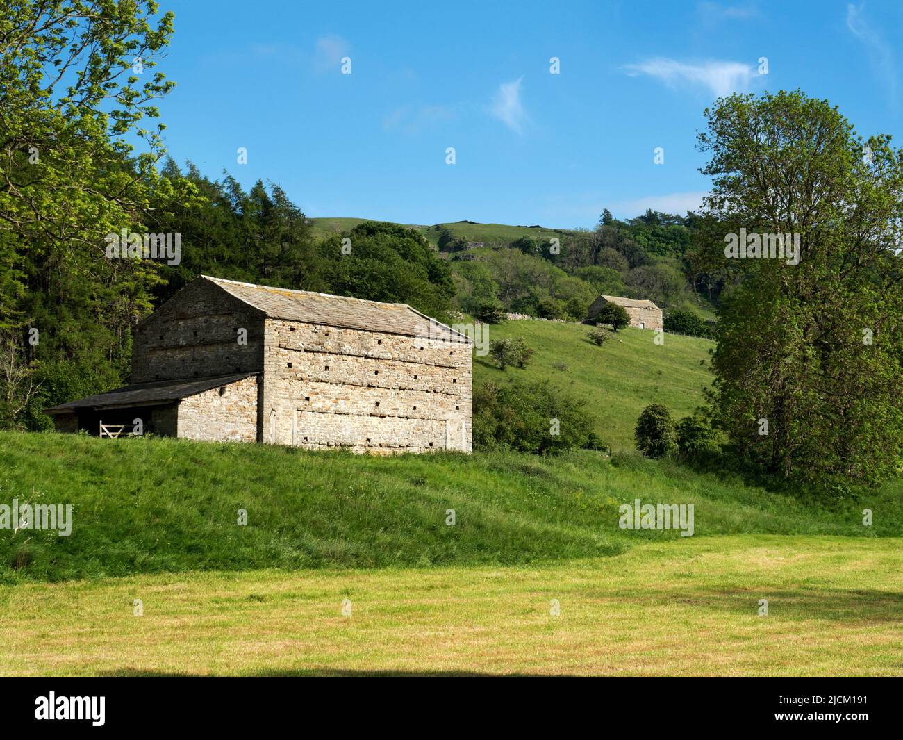 Field barns between Aysgarth and West Burton in Wensleydale Yorkshire Dales North Yorkshire England Stock Photo