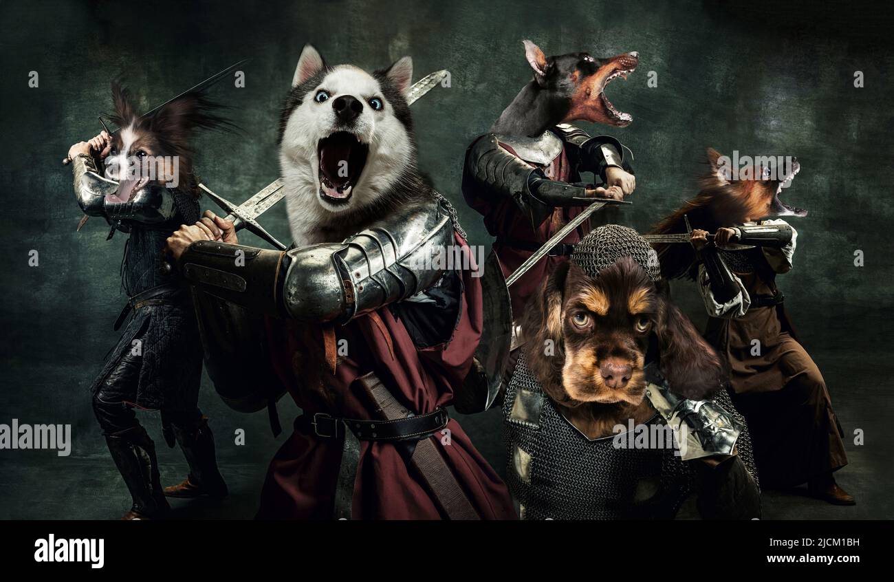 Fight, battle. Creative art collage with brutal serious medieval warriors or knights war clothes with swords in motion, action isolated over dark Stock Photo