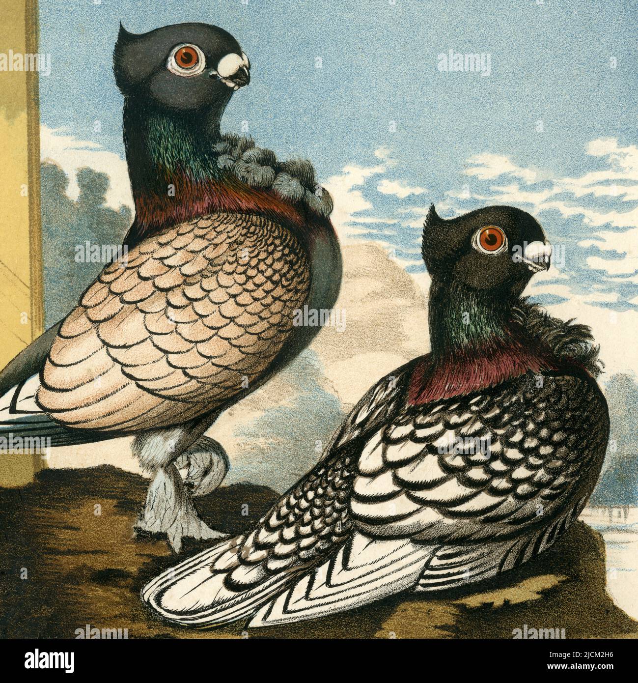 D1349 b7982 b hires stock photography and images Alamy