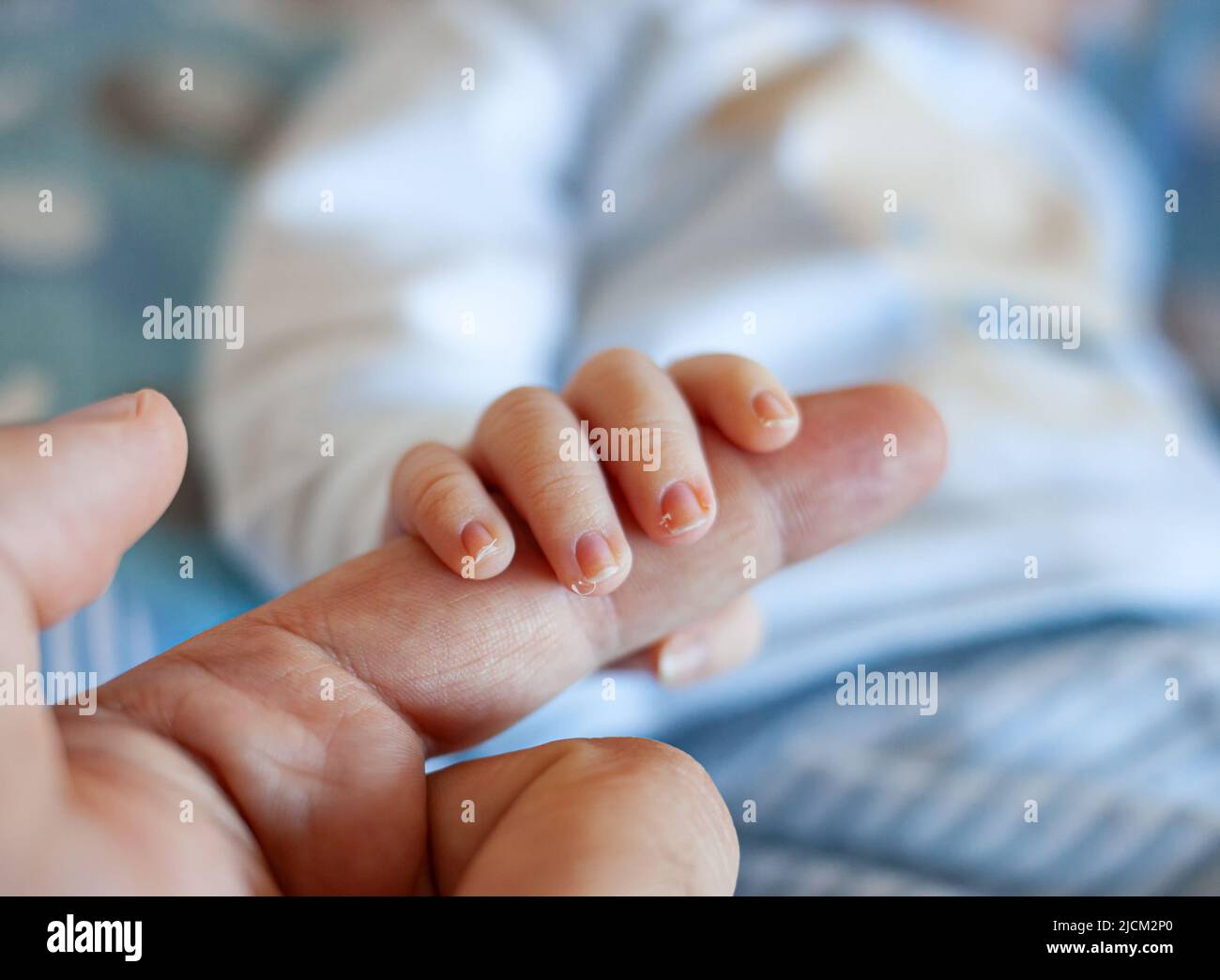 Detail of the fingers of a newborn, especially the nails. Newborn babies have long, sharp nails full of nerve endings. Stock Photo