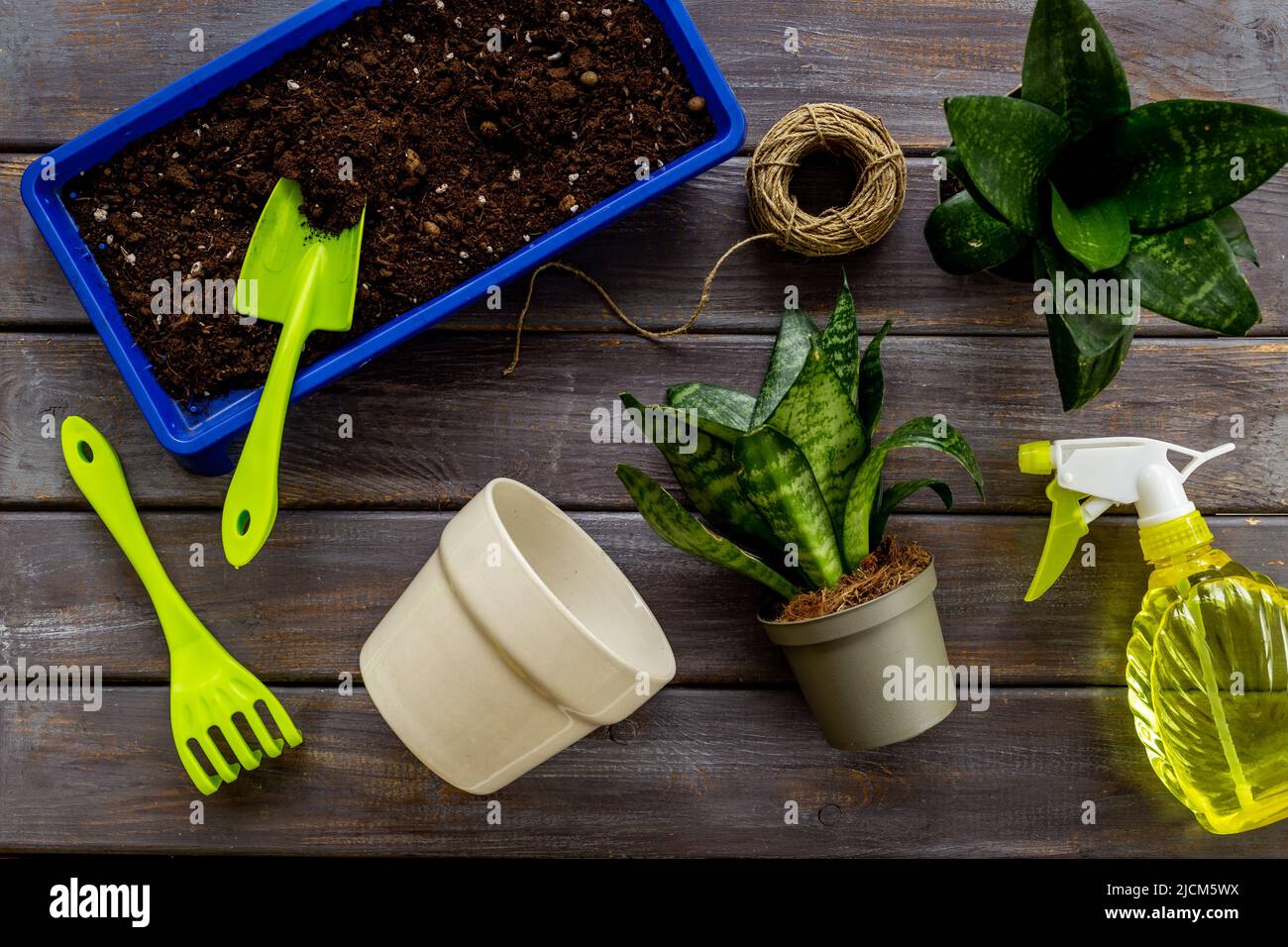 Set of garden accessories with plant in pot. Gardening layout for