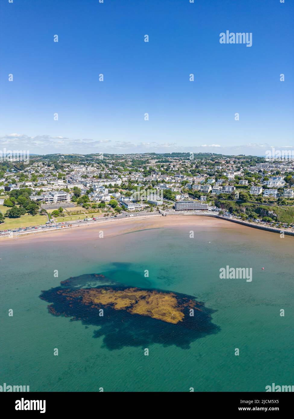 Torbay, UK. 14th June, 2022. Large Concentration of seaweed off the Torquay coast Credit: Thomas Faull/Alamy Live News Stock Photo