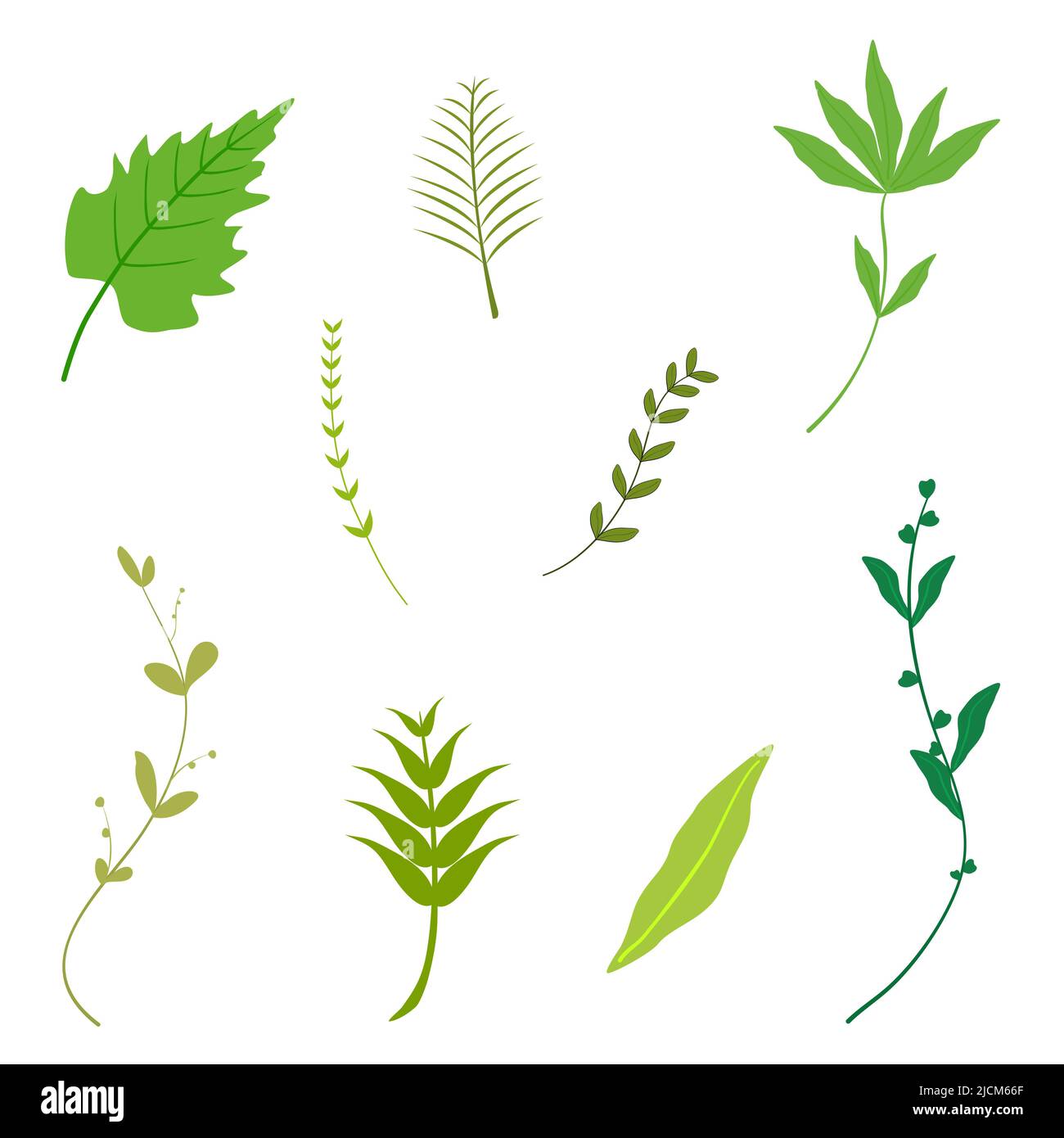 Green Leaf Isolated on White Background Vector Illustration Free Vector -  Web Design Hot