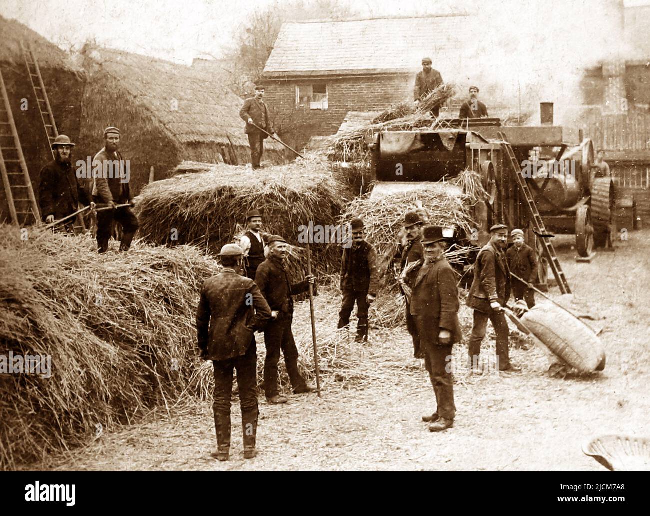 Hay making near Alfreton, Victorian period Stock Photo