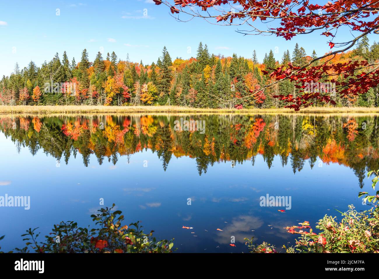 Autumn forest reflecting in the calm waters of a lake on a sunny autumn day. Natural background. Stock Photo
