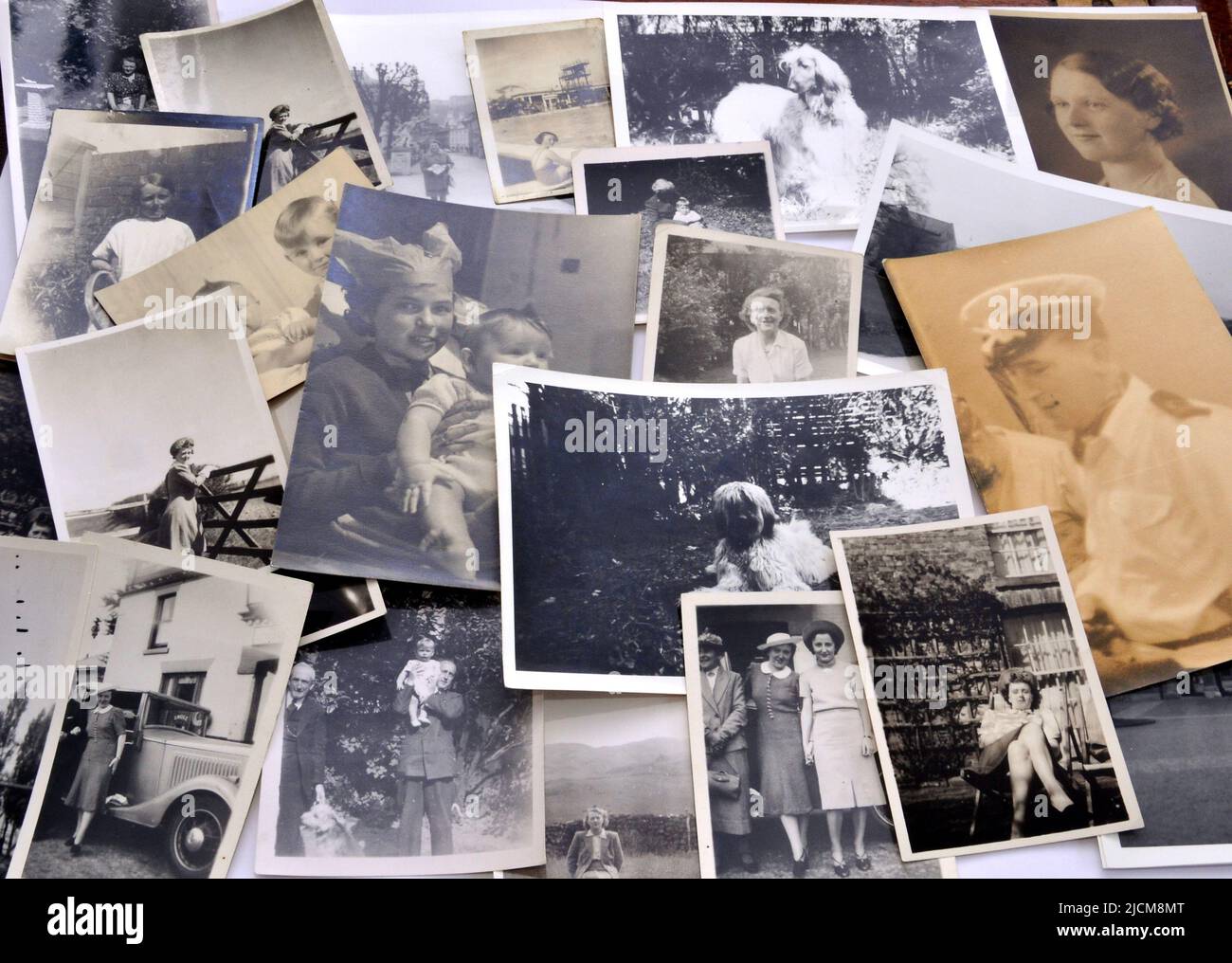 A collection of old, vintage black and white family photographic prints or photos. Retro theme. Stock Photo