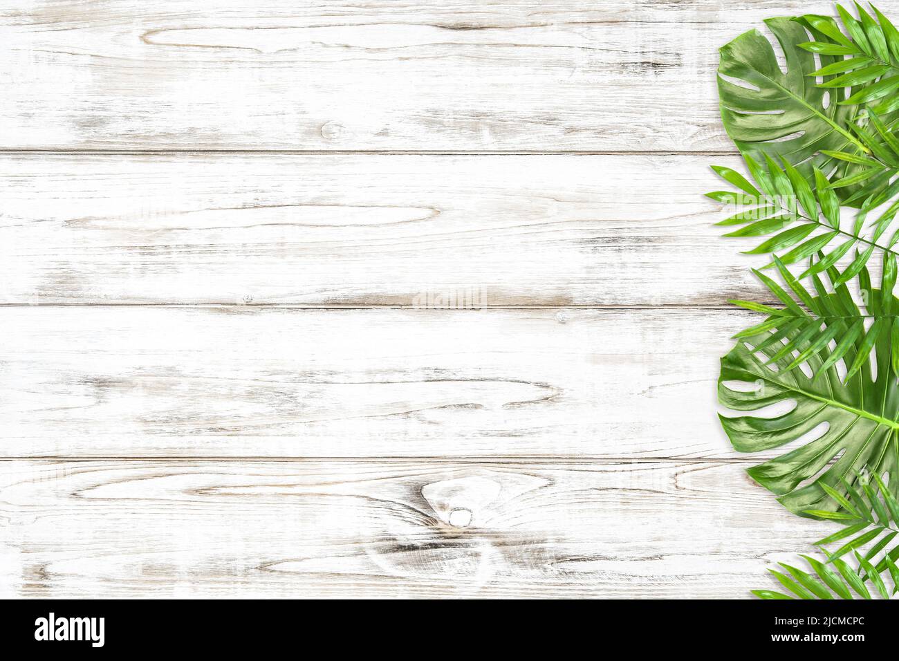 Floral background with green monstera and palm leaves on bright wooden background Stock Photo