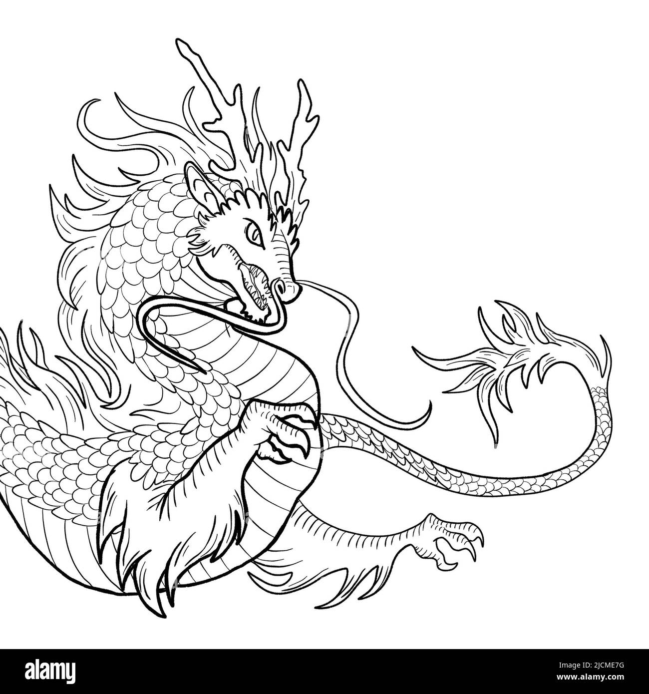 Black and white coloring page ink illustration of a dragon Stock Photo ...