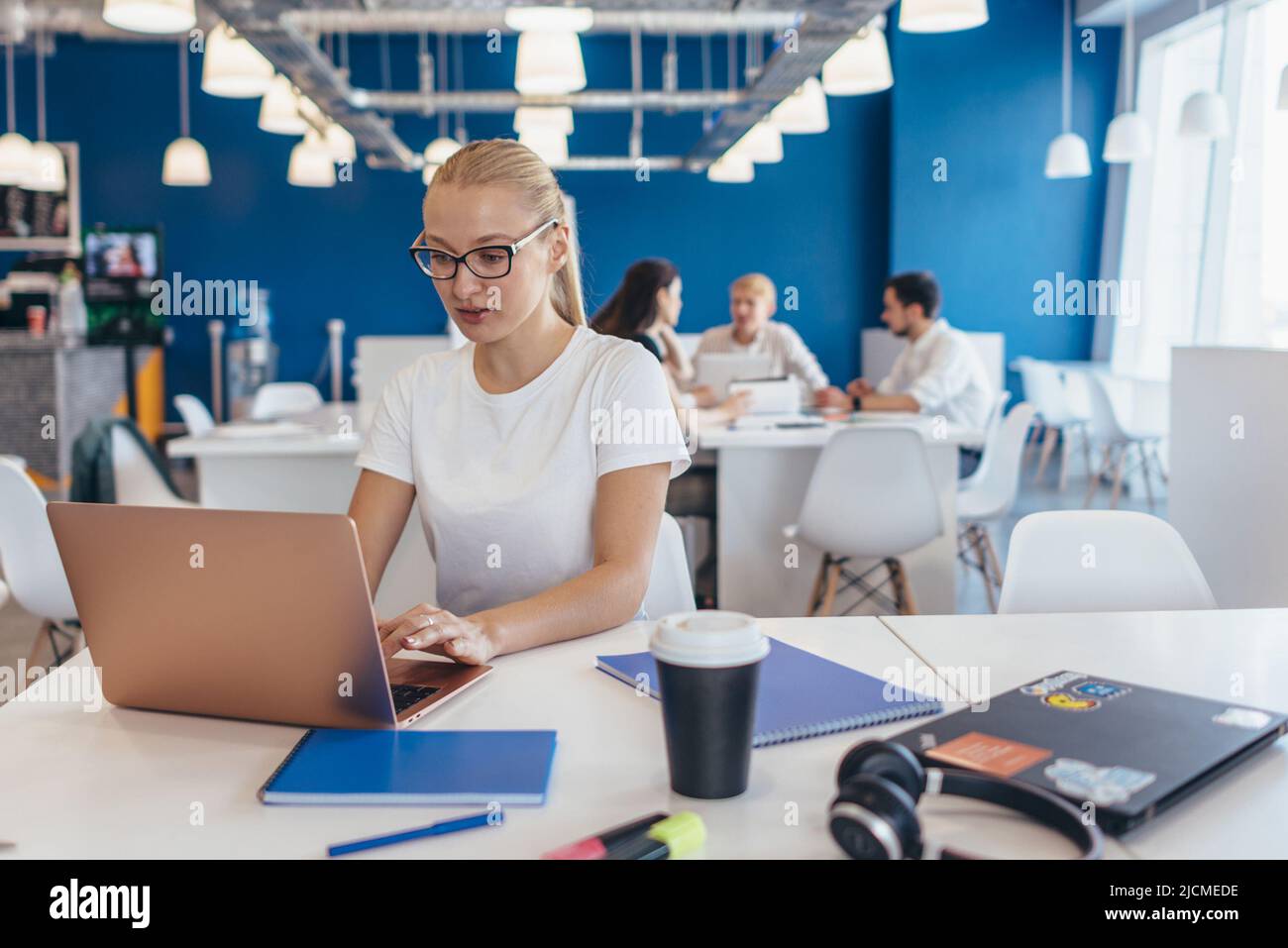 Portrait of a serious businesswoman using laptop in office. Stock Photo