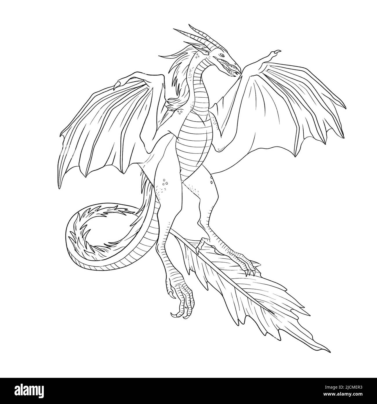 Black and white coloring page ink illustration of a dragon Stock Photo ...