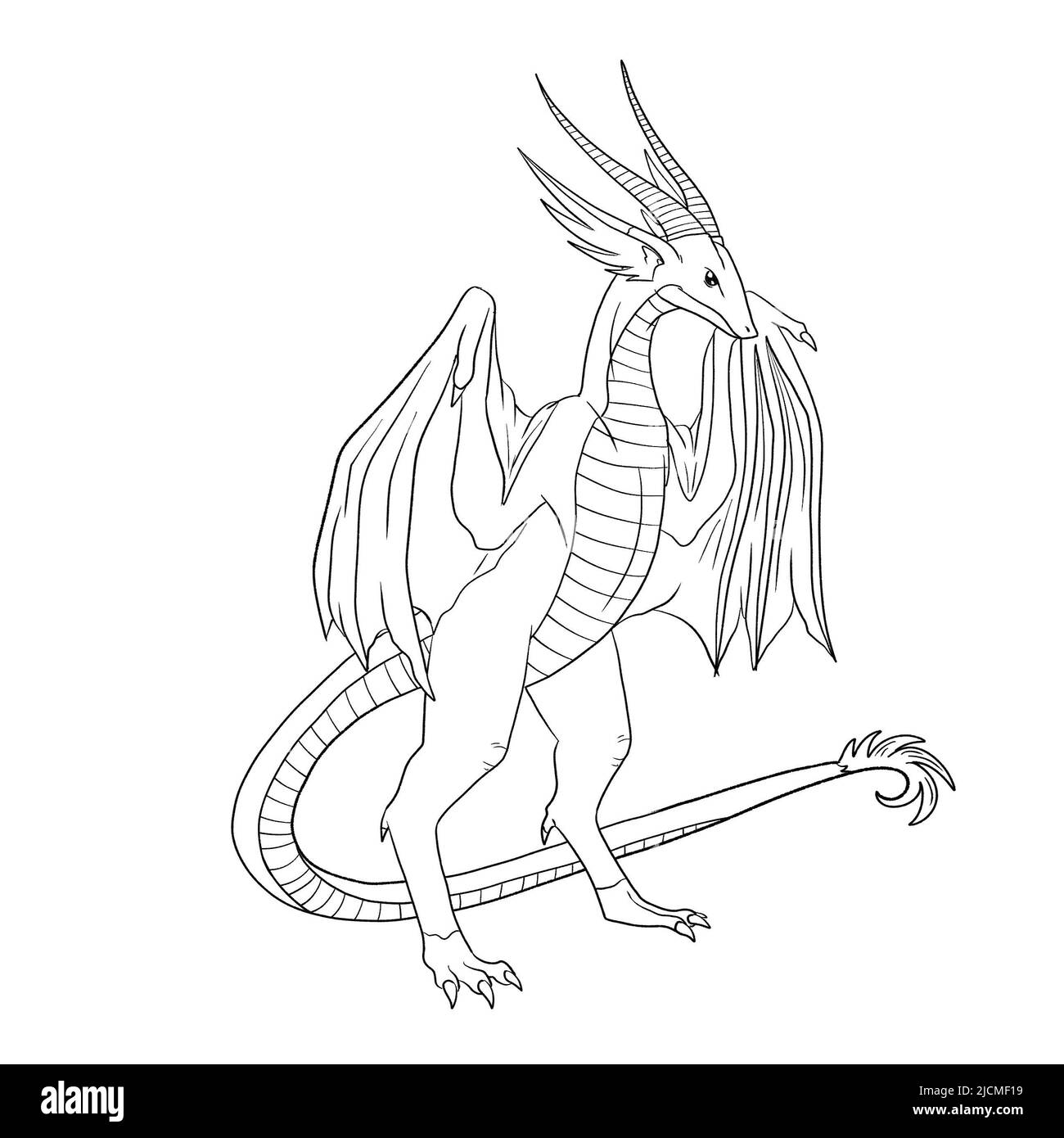 Black and white coloring page ink illustration of a dragon Stock Photo