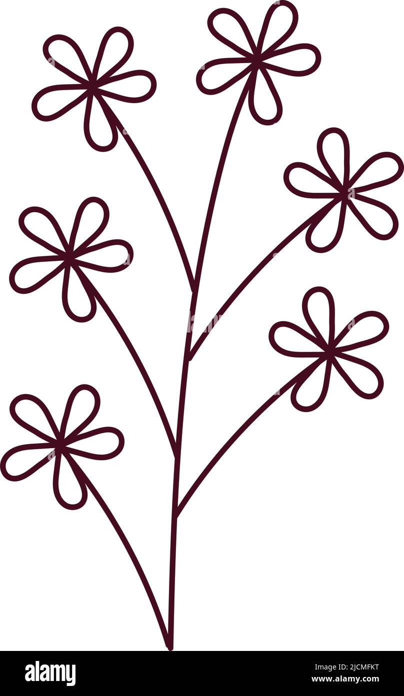 Botanical drawings  Flower drawing Wildflower tattoo Flower line drawings