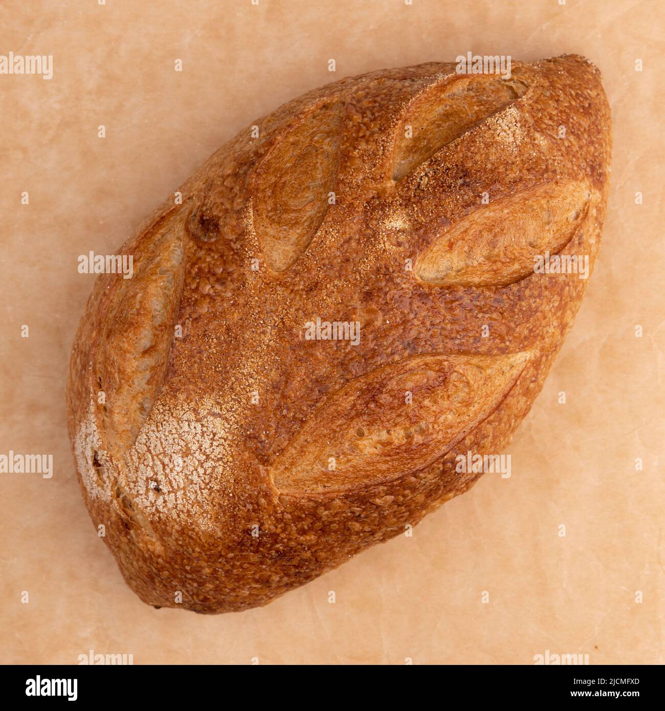 top view of fresh homemade bread with golden crispy crust on parchment background, organic loaf with tomato close-up, italian food Stock Photo