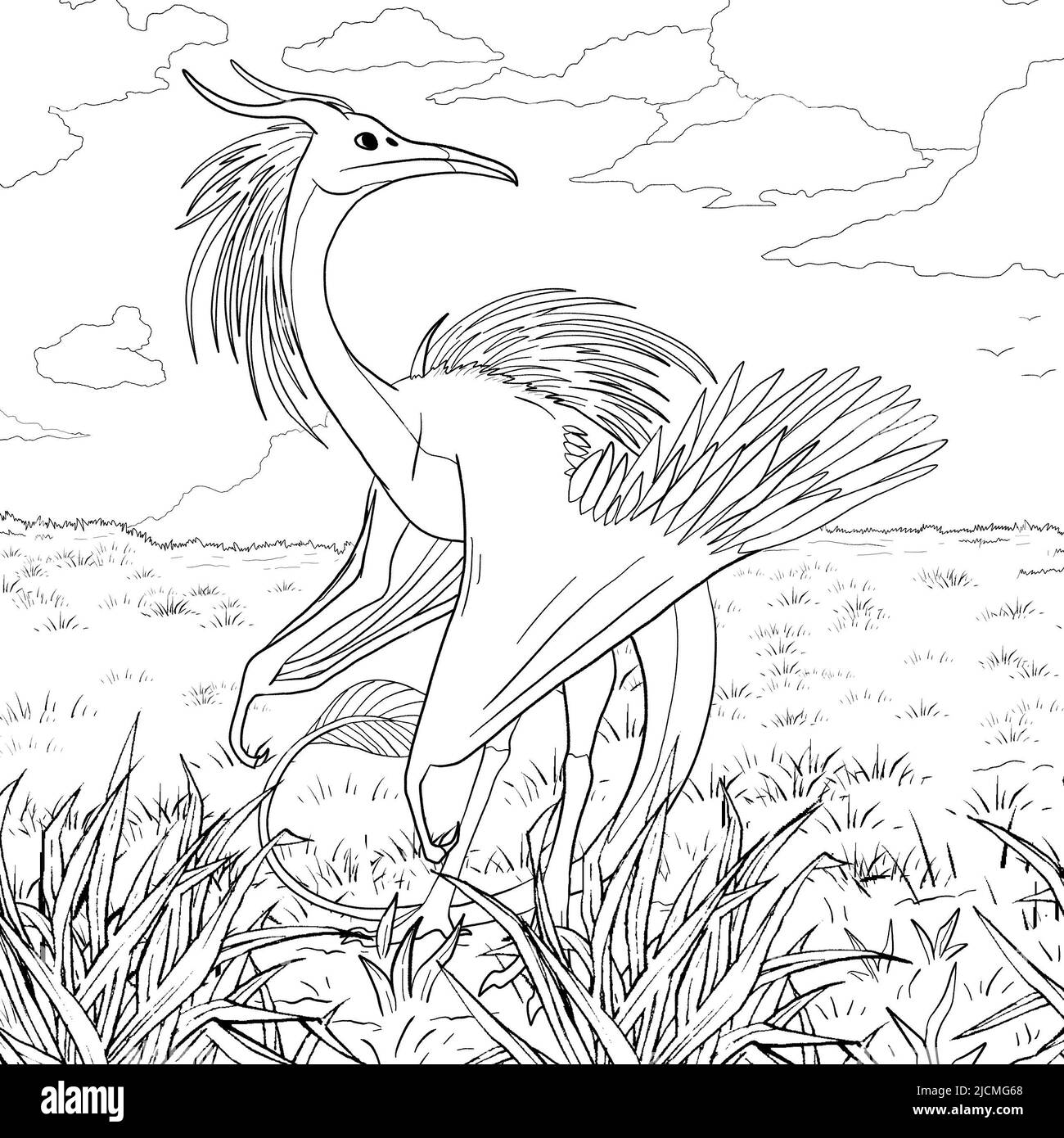 Black and white coloring page ink illustration of a dragon Stock Photo