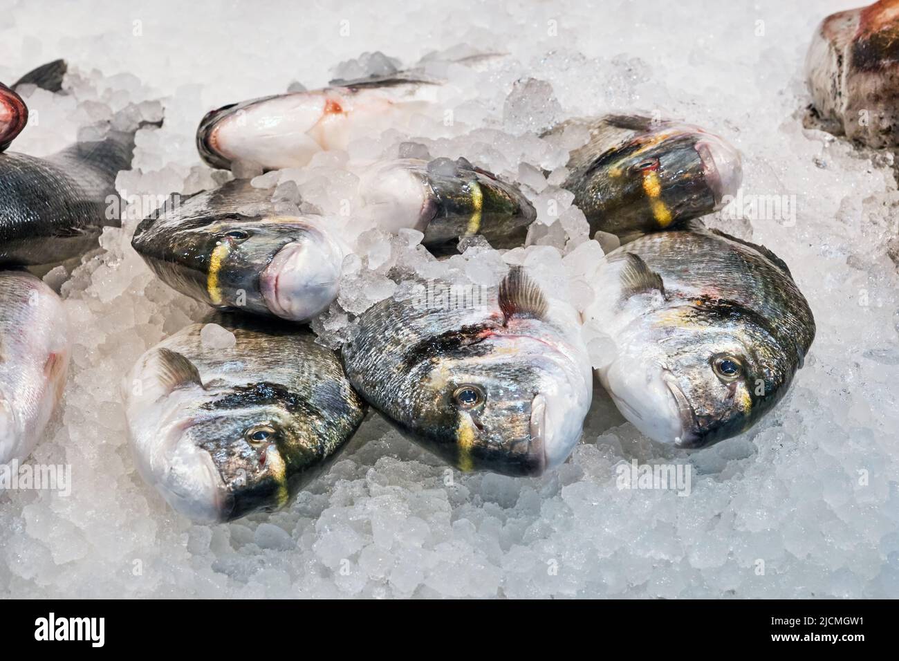 Fresh fish on ice for sale at a market in Barcelona, Spain Stock Photo