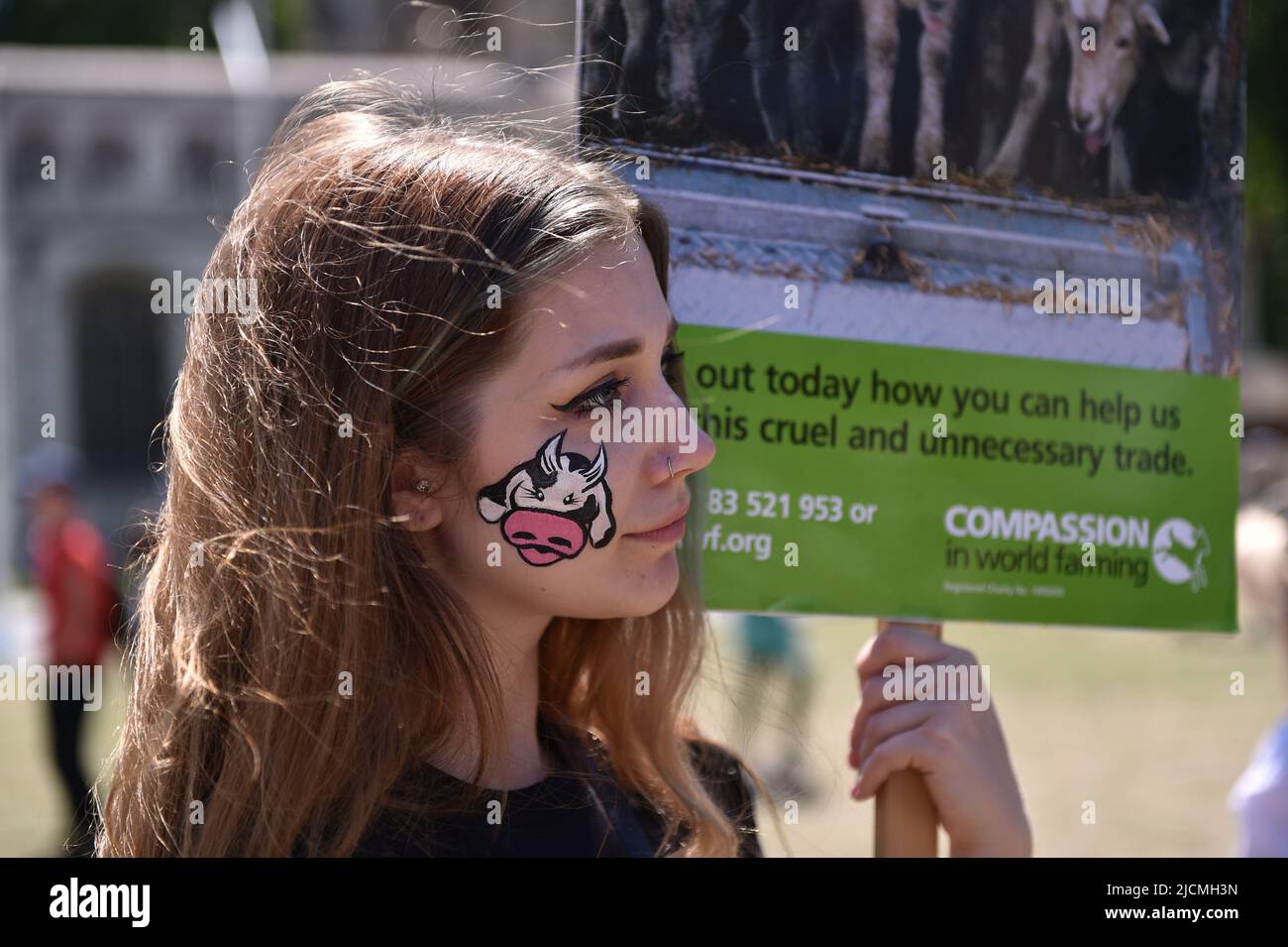 London, England, UK. 14th June, 2022. Protester holds a placard at the rally. Activists staged a protest in Parliament Square to call on the UK Government to end live animal exports. (Credit Image: © Thomas Krych/ZUMA Press Wire) Stock Photo