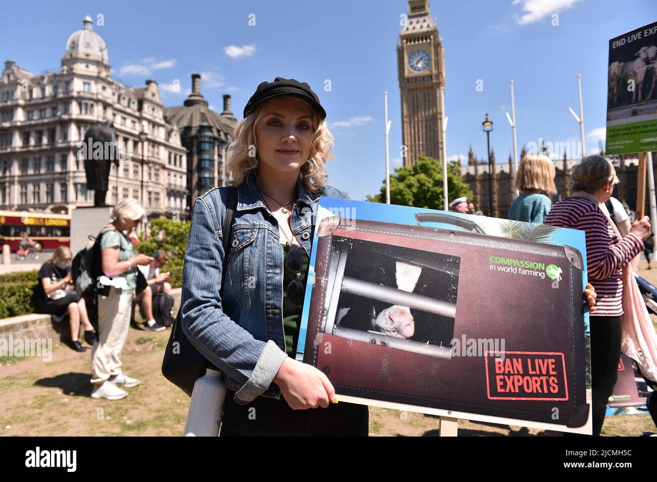 London, England, UK. 14th June, 2022. Actress and activist EVANNA LYNCH is seen holding a placard at the rally. Activists staged a protest in Parliament Square to call on the UK Government to end live animal exports. (Credit Image: © Thomas Krych/ZUMA Press Wire) Stock Photo