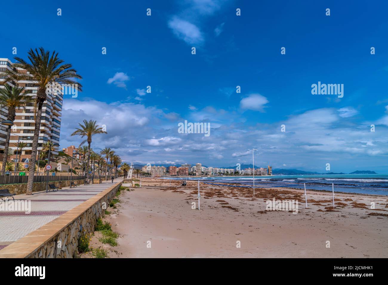 Muchavista promenade and beach with palm trees El Campello Alicante ...