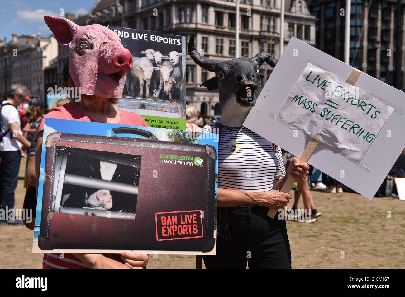 London, England, UK. 14th June, 2022. Protesters wearing animal masks hold placards at the rally. Activists staged a protest in Parliament Square to call on the UK Government to end live animal exports. (Credit Image: © Thomas Krych/ZUMA Press Wire) Stock Photo