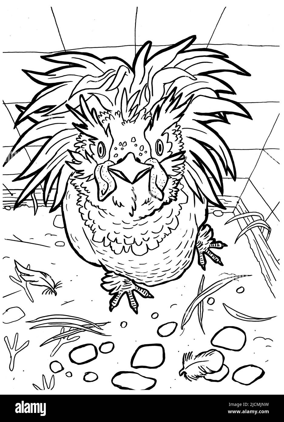 Black and white coloring page ink illustration of a chicken. Stock Photo