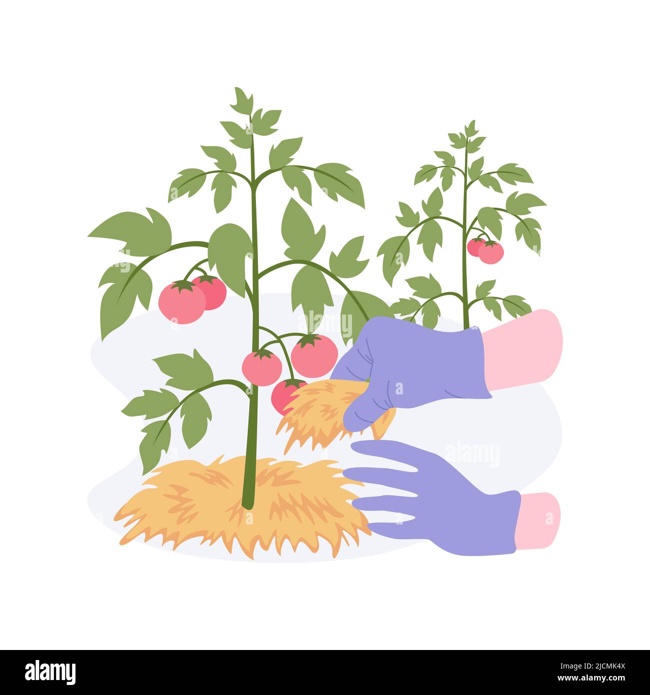 Organic mulching isolated cartoon vector illustrations Stock Vector