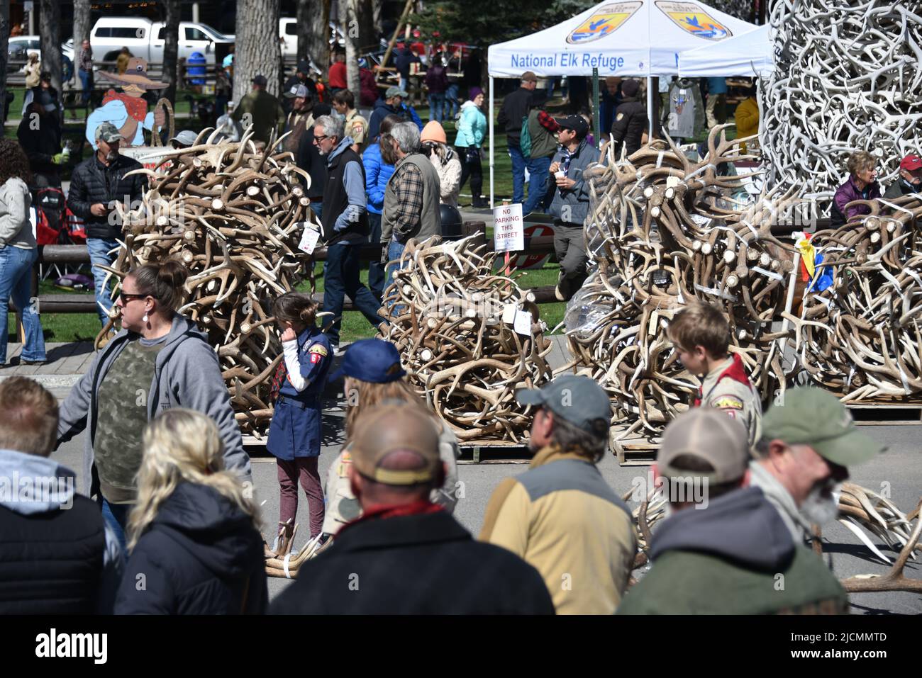 Boy scouts of american antler auction hires stock photography and