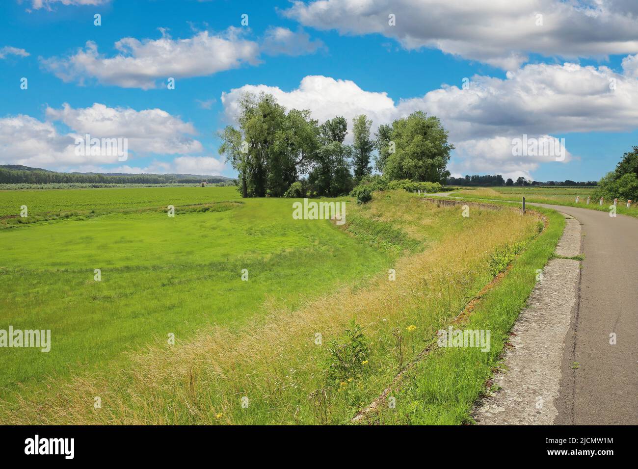 Beautiful rural countryside idyllic belgian landscape, vibrant strong green meadows, trees, bike cycle path, blue summer sky - Maasvallei, Limburg, Be Stock Photo