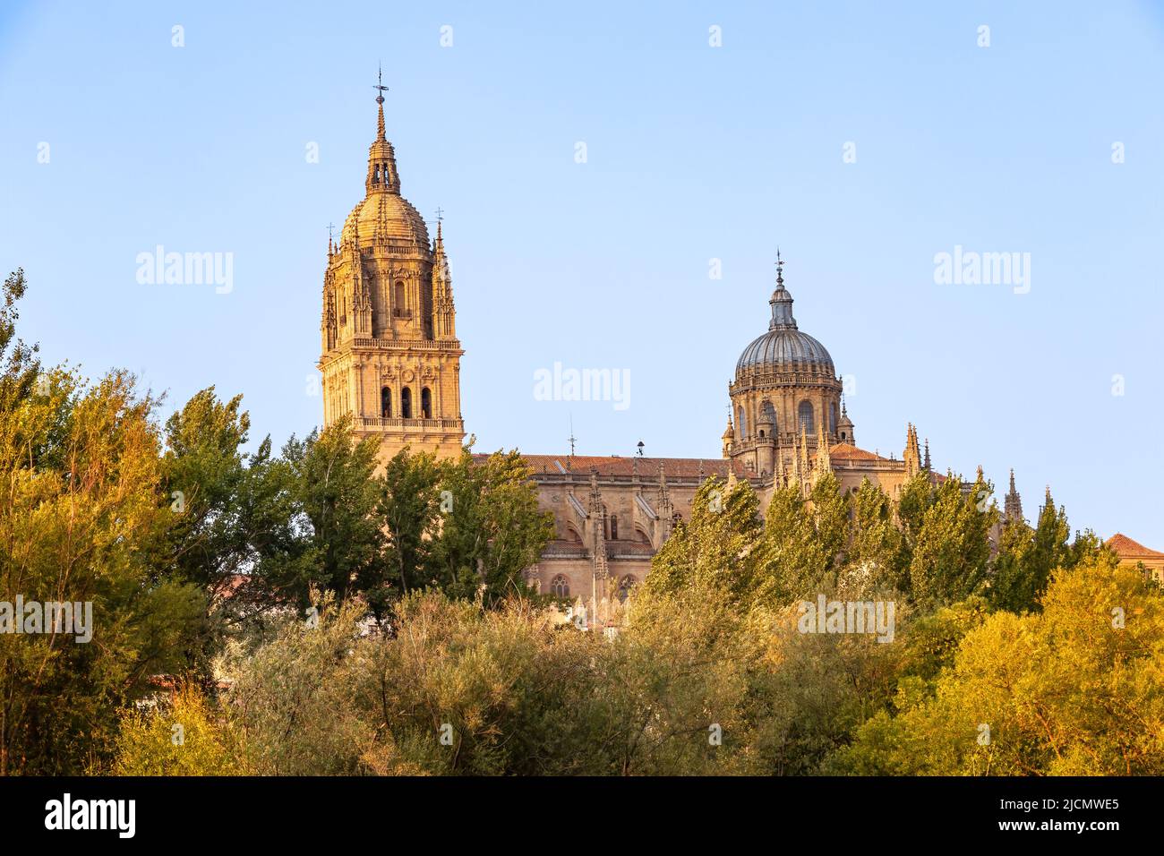 Partial View of Salamanca Cathedral behind the trees of the river Tormes at sunset Stock Photo