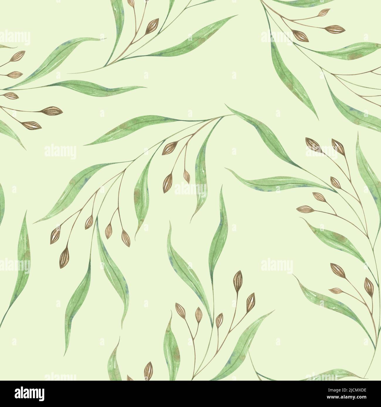 Wild herbs with seeds. Watercolor plants. Green leaves and brown seeds. Seamless pattern on light background. Illustration for fabrics, wallpaper, pri Stock Photo