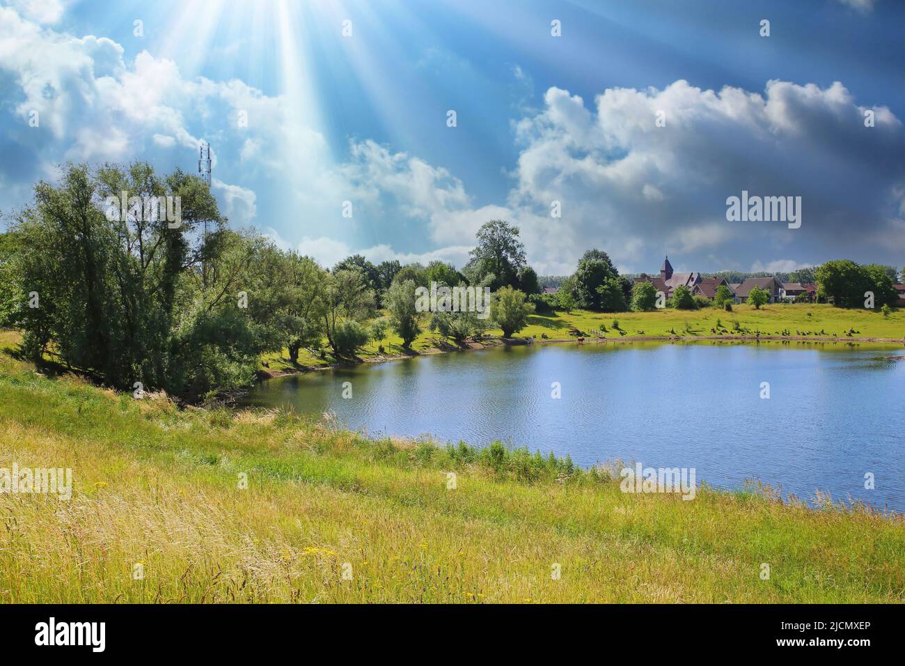 Beautiful dutch farm lake in idyllic countryside, blue summer sky white fluffy clouds, sun rays -  Maasvallei, Limburg, Netherlands Stock Photo